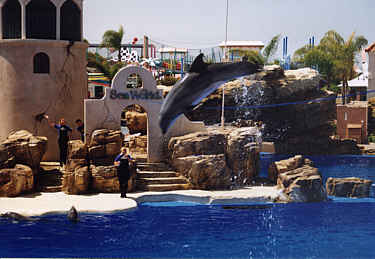 Delphinarium