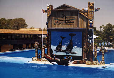 Sea World