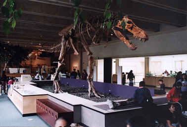 Dinosaurier