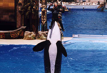 Sea World