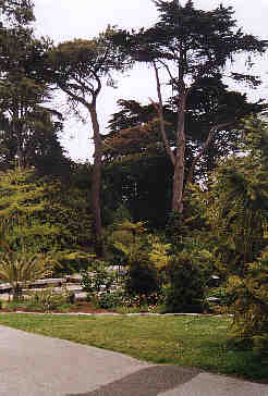 Golden Gate Park