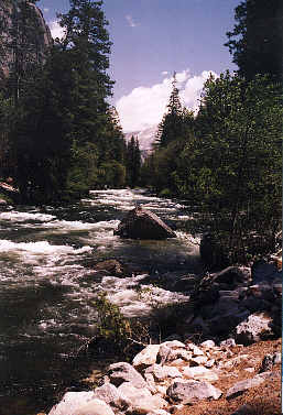 Aussicht im Yosemite NP