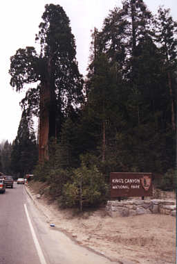 Kings Canyon