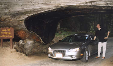 Tunnel Log