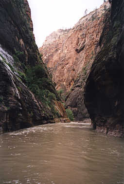 Narrow Trail
