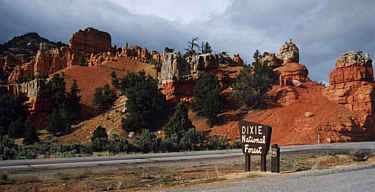 Dixie National Forrest