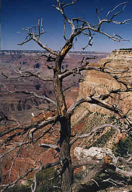 Grand Canyon